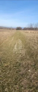 TEREN AGRICOL 1,524 HA, LA DOAR 10.000€ Comision Zero % - Barsa