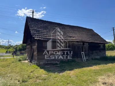 Casa batraneasca cu teren de 3.334mp, in Baia de Cris, Hunedoara - foto 2