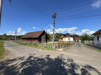 Casa batraneasca cu teren de 3.334mp, in Baia de Cris, Hunedoara - foto 4