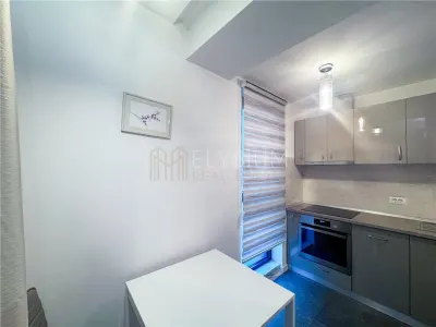 Apartament de inchiriat 2 camere One Herastrau Plaza - foto 8