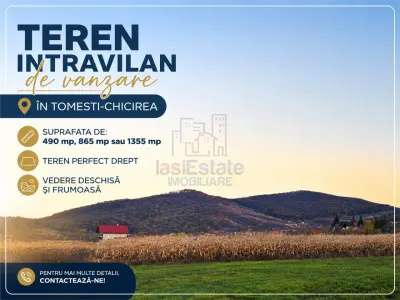 Teren intravilan de vanzare in Chicirea-Tomesti - Tomesti