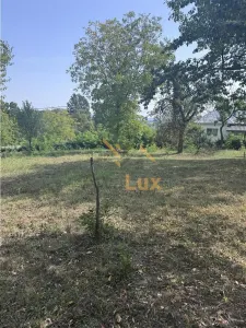 Teren intravilan de vanzare în Coruia - foto 3