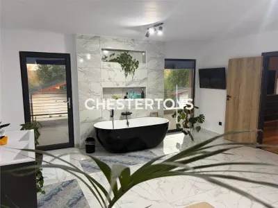Vila exclusivista formata din 4 cladiri si balta amenajata, Baldovinesti -Braila, ideal investitie. - foto 22