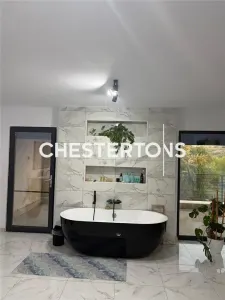 Vila exclusivista formata din 4 cladiri si balta amenajata, Baldovinesti -Braila, ideal investitie. - foto 24