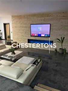 Vila exclusivista formata din 4 cladiri si balta amenajata, Baldovinesti -Braila, ideal investitie. - foto 6
