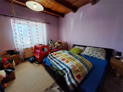 MDI casa cu dublu front stradal la Saniob - foto 2