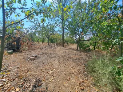 MDI teren intravilan Paleu 772 mp - foto 3
