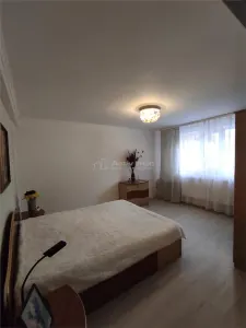 Vila Dristor, cu piscina, garaj, posibilitate spatiu comercial - foto 13