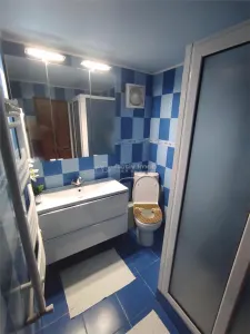 Vila Dristor, cu piscina, garaj, posibilitate spatiu comercial - foto 14