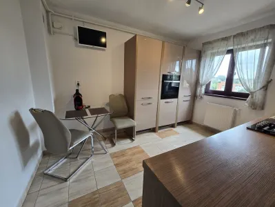 Apartament 1 cameră | Podul de Fier | 48 mp | Bucătărie separată | Lift | Se acceptă pisici - Iasi