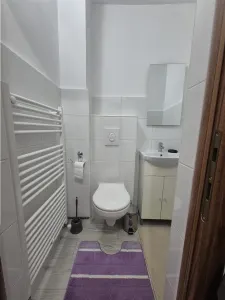 Apartament 3 camere decomandat, 2 bai, Cetate Mercur ,83000 euro - foto 7