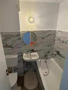 Vanzare apartament 3 camere renovate Parcul Circului - foto 8