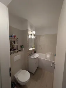 SOARELUI - PARTER - 3 CAMERE - 2 BAI - DECOMANDAT - CENTRALA PROPRIE - RENOVAT - foto 4