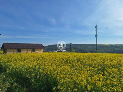 Loturi de teren Valea Lupului - Iasi