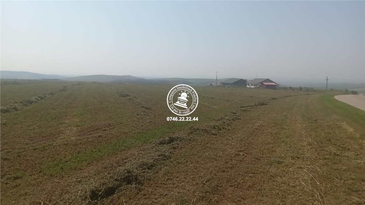 Teren pentru constructii case  de vanzare Iasi, Horlesti, - Rediu