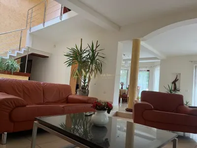 Vanzare casa individuala 6 camere Remetea Mare cu piscina si ponton propriu la raul Bega - foto 13