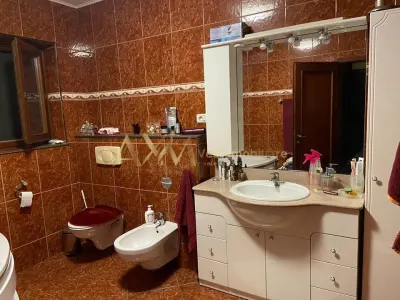 Vanzare casa individuala 6 camere Remetea Mare cu piscina si ponton propriu la raul Bega - foto 3