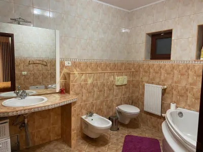 Vanzare casa individuala 6 camere Remetea Mare cu piscina si ponton propriu la raul Bega - foto 5