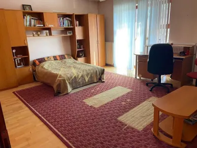 Vanzare casa individuala 6 camere Remetea Mare cu piscina si ponton propriu la raul Bega - foto 7