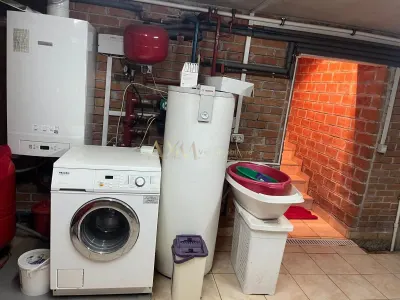 Vanzare casa individuala 6 camere Remetea Mare cu piscina si ponton propriu la raul Bega - foto 10