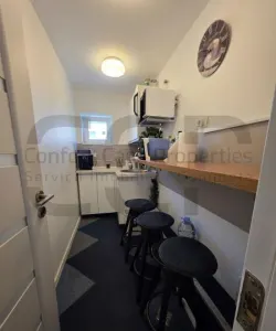 Nerva Traian, Octavian Goga, Mall Vitan - foto 8