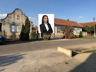 Ohaba-Forgaci, Casa Cu Doua Corpuri, 6 Cam. 268 Mp., Teren 2.999 Mp. Cu Pomicultura,  Zona Centrala - Ohaba-Forgaci
