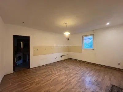 Ohaba-Forgaci, Casa Cu Doua Corpuri, 6 Cam. 268 Mp., Teren 2.999 Mp. Cu Pomicultura,  Zona Centrala - foto 12
