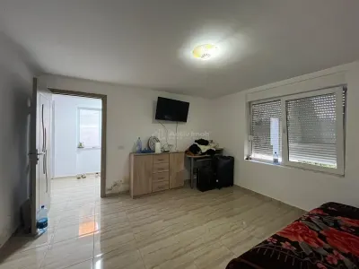 Ohaba-Forgaci, Casa Cu Doua Corpuri, 6 Cam. 268 Mp., Teren 2.999 Mp. Cu Pomicultura,  Zona Centrala - foto 9